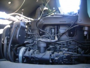 41515877.jpg